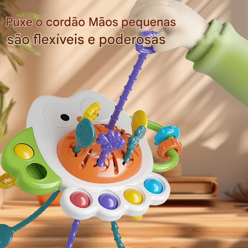 La Corujinha Explorer - 4K NOVA